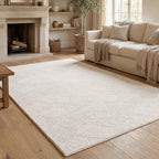 Large Rugs Living Room