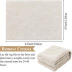 Large Rugs Living Room 200 By