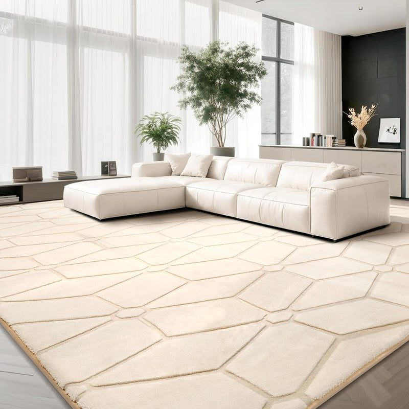 Large Rugs Living Room Fluffy Washable