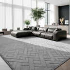 Large Rugs Living Room Fluffy Washable