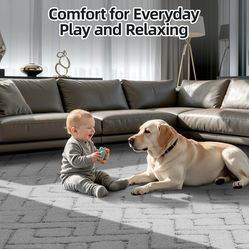 Large Rugs Living Room Fluffy Washable