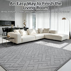 Large Rugs Living Room Fluffy Washable