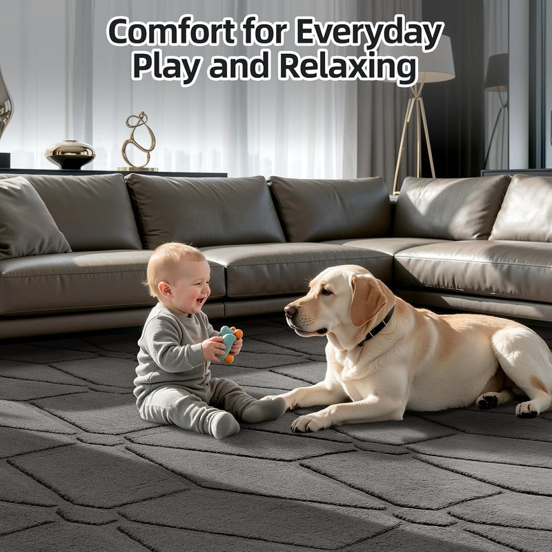 Large Rugs Living Room Fluffy Washable