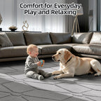 Large Rugs Living Room Fluffy Washable