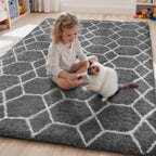 Large Rugs Living Room Shaggy for Bedroom