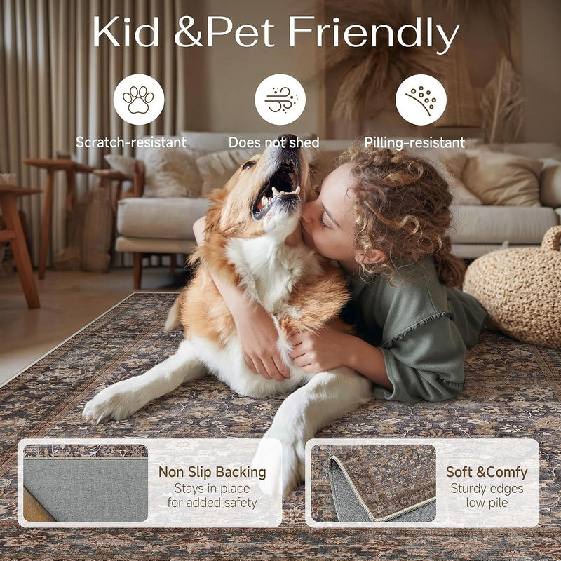 Rugs Living Room Washable Area Rug