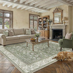 Rugs Living Room Washable Area Rug