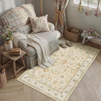 Washable Area Rug for Entryway Carpet