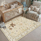 Washable Area Rug for Entryway Carpet