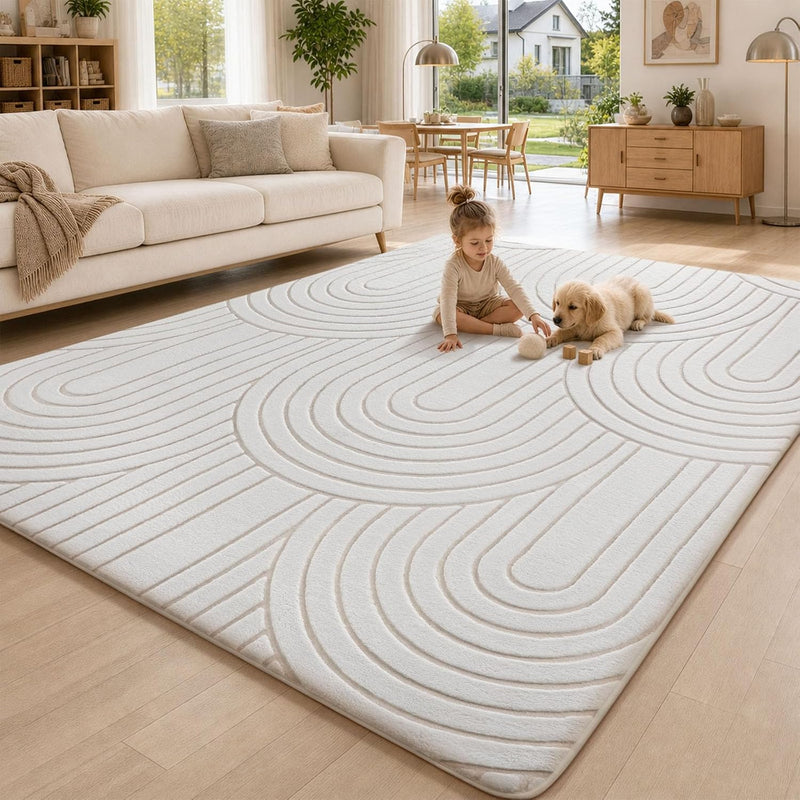 Large Rugs Living Room Washable Rug