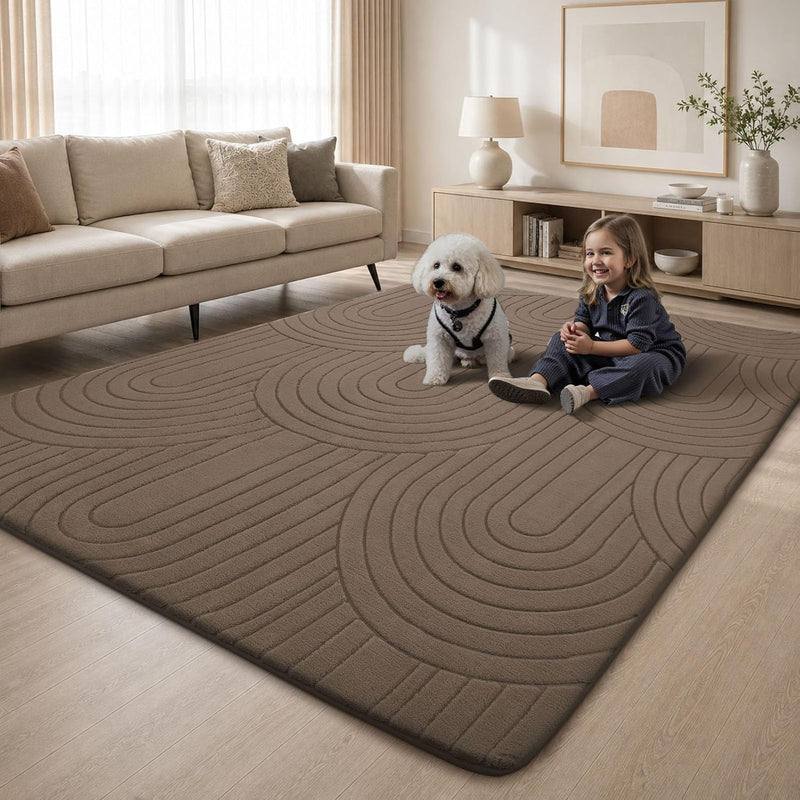 Large Rugs Living Room Washable Rug