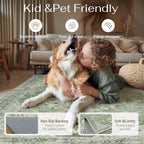 Large Washable Rugs for Living Room Extra