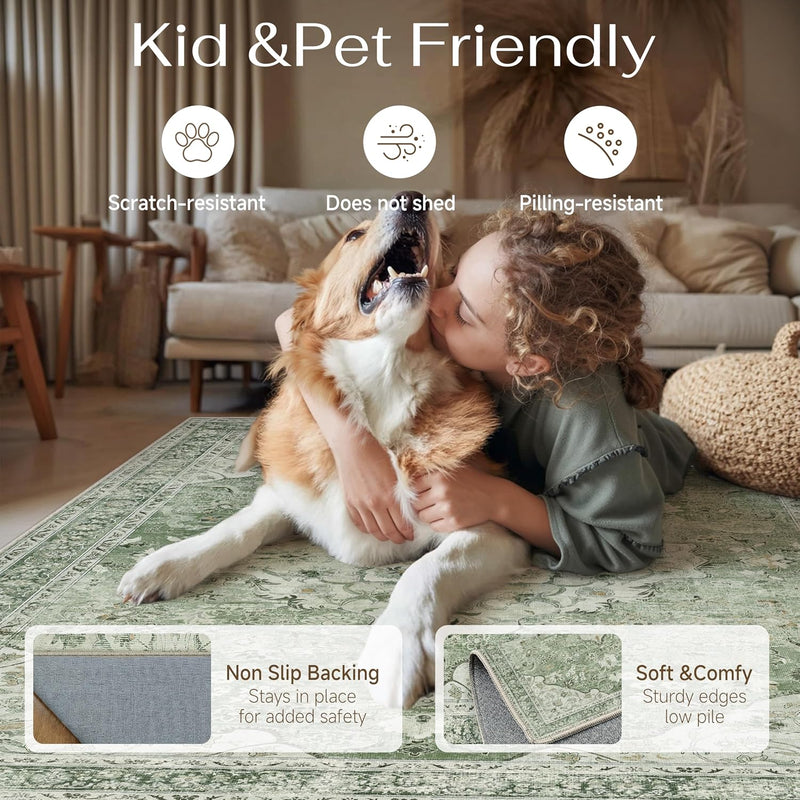 Large Washable Rugs for Living Room Extra