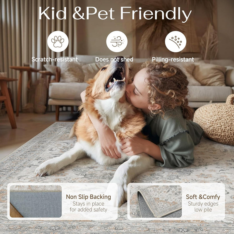 Large Washable Rugs for Living Room Extra