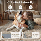 Large Washable Rugs for Living Room Extra