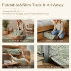 Large Washable Rugs for Living Room Extra