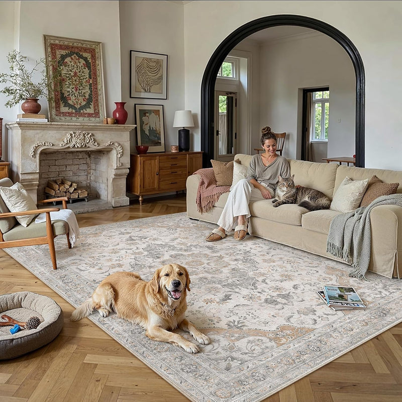 Large Washable Rugs for Living Room Extra