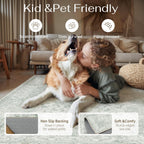 Large Washable Rugs Living Room Vintage Area