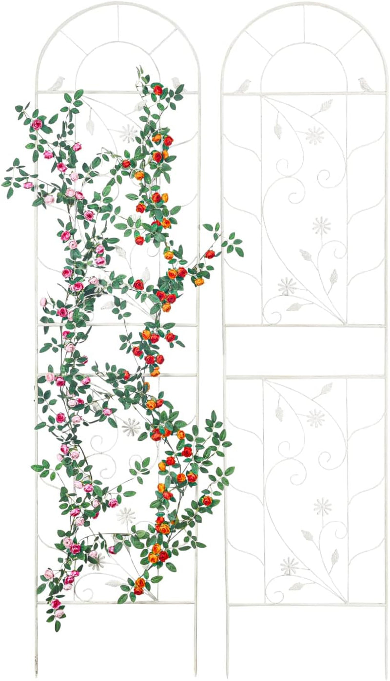 Large Wrought Iron Garden Trellises for Climbing Plants