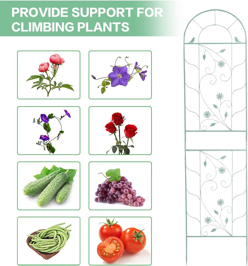 Large Wrought Iron Garden Trellises for Climbing Plants
