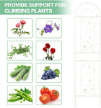Large Wrought Iron Garden Trellises for Climbing Plants