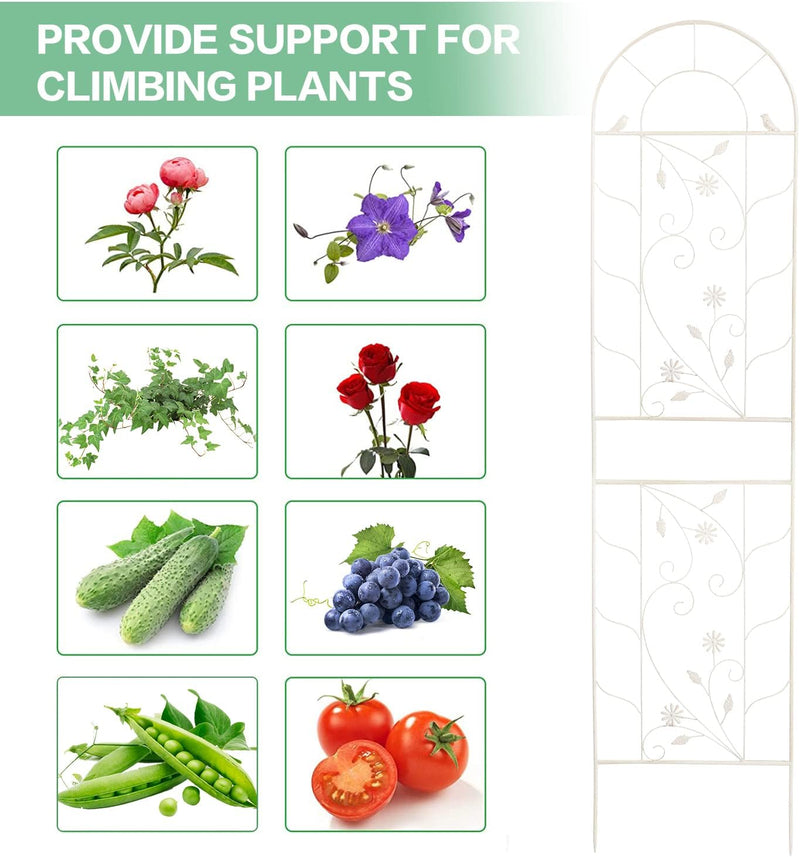 Large Wrought Iron Garden Trellises for Climbing Plants