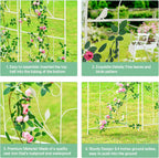 Large Wrought Iron Garden Trellises for Climbing Plants