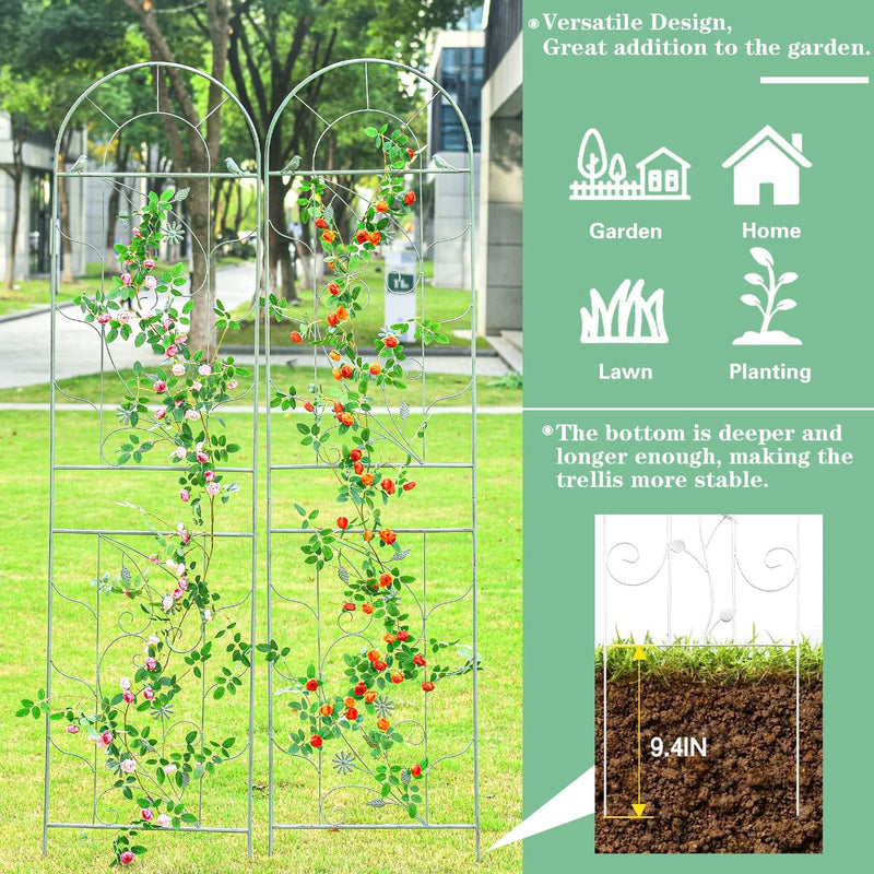 Large Wrought Iron Garden Trellises for Climbing Plants