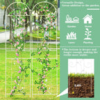 Large Wrought Iron Garden Trellises for Climbing Plants