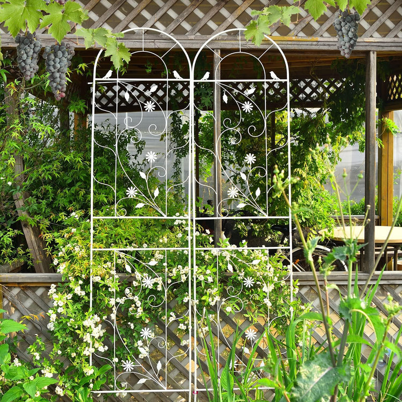 Large Wrought Iron Garden Trellises for Climbing Plants
