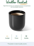 Le Tauci Pots for Plants Ceramic