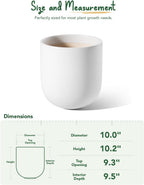 Le Tauci Pots for Plants Ceramic