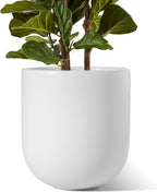 Le Tauci Pots for Plants Ceramic