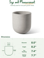 Le Tauci Pots for Plants Ceramic