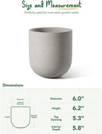 Le Tauci Pots for Plants Ceramic