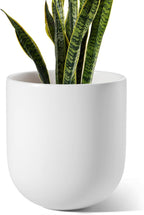 Le Tauci Pots for Plants Ceramic
