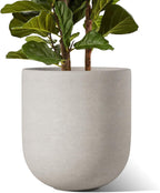 Le Tauci Pots for Plants Ceramic