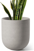 Le Tauci Pots for Plants Ceramic