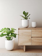 Le Tauci Pots for Plants Ceramic