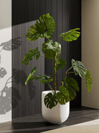 Le Tauci Pots for Plants Ceramic