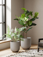 Le Tauci Pots for Plants Ceramic