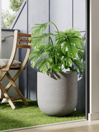 Le Tauci Pots for Plants Ceramic