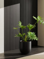 Le Tauci Pots for Plants Ceramic