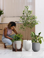 Le Tauci Pots for Plants Ceramic