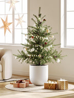 Le Tauci Pots for Plants Ceramic