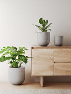 Le Tauci Pots for Plants Ceramic