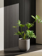 Le Tauci Pots for Plants Ceramic