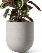 Le Tauci Pots for Plants Ceramic