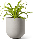 Le Tauci Pots for Plants Ceramic
