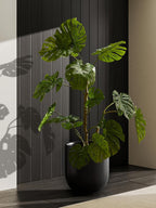Le Tauci Pots for Plants Ceramic